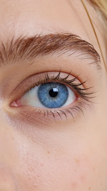 Model 3, eye · macro