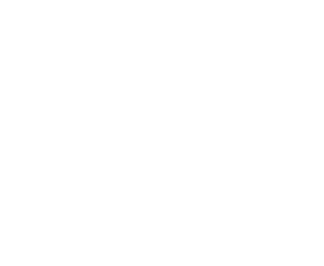 Elite Horizon